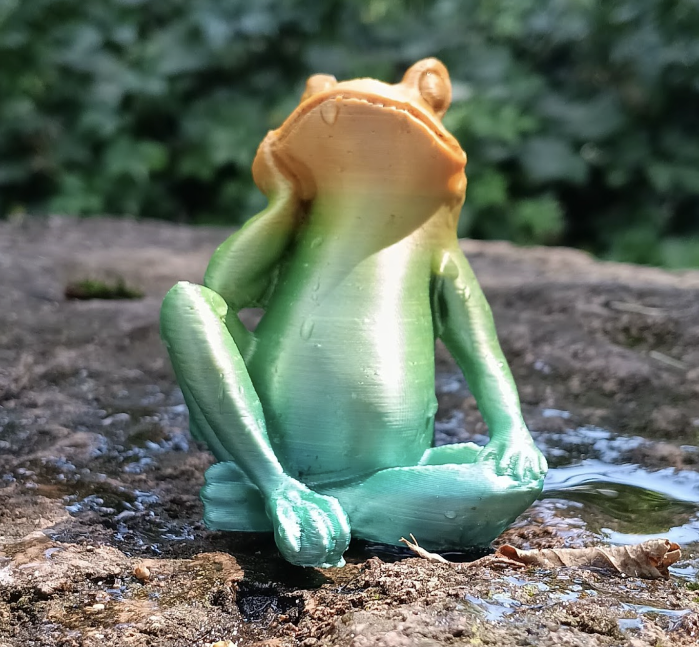 Thinking Frog